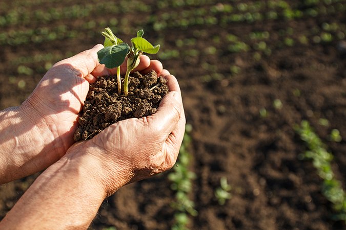 How to add nutrients to soil hands