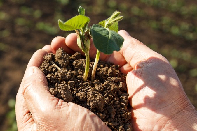 soil additives to retain moisture hands