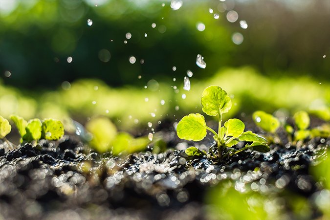 What is soil nutrients? rain