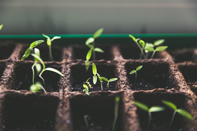 how to mix organic fertilizer small plants