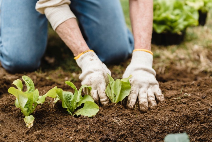 advanced nutrients for hydroponics gardener