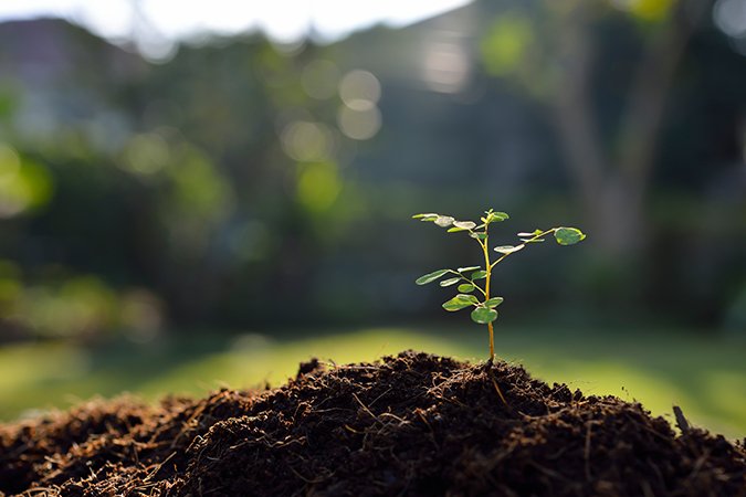The best Coco Coir Nutrients for your plants - BAC Online