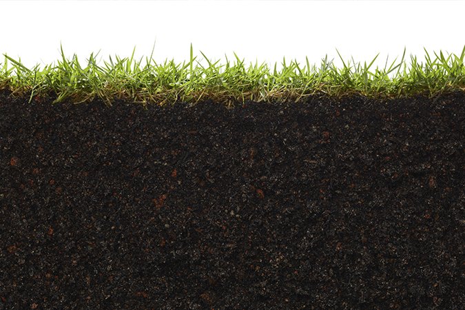 soil additives for grass dirt and grass
