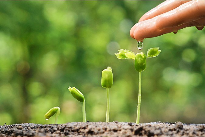 How to add nutrients to soil plant
