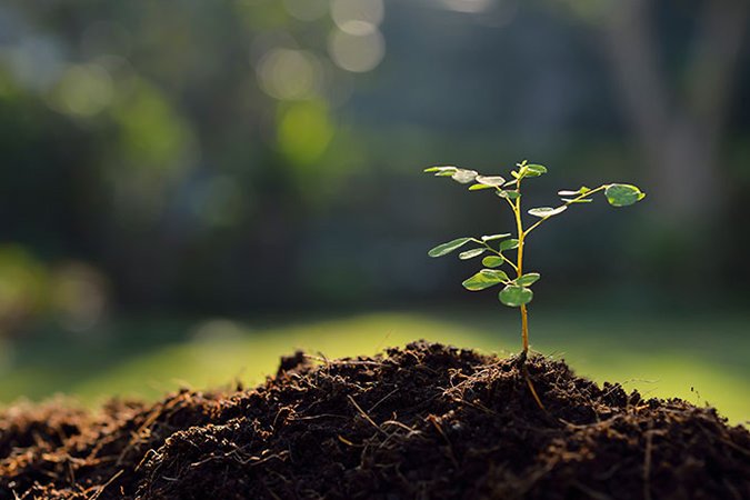 how to prepare fertilizer for plants soil